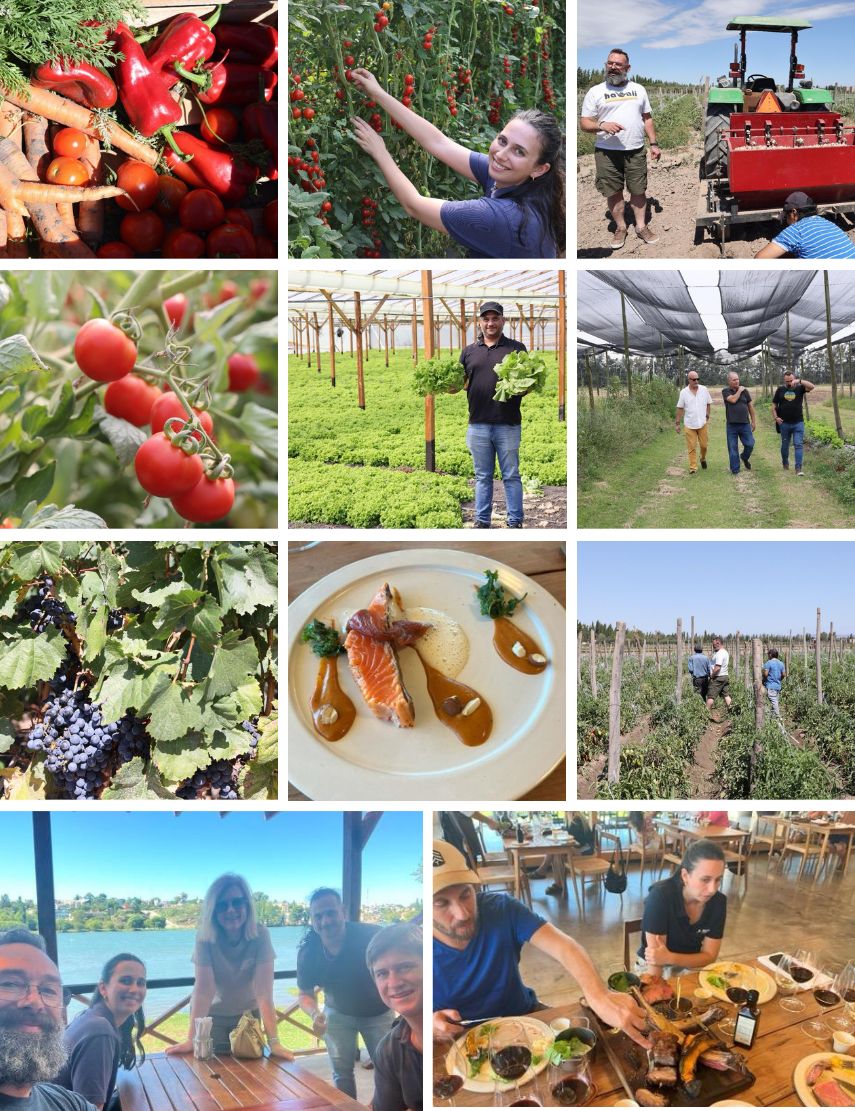 Collage of images from Delver farm tour